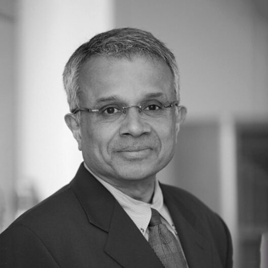 Rajan Menon